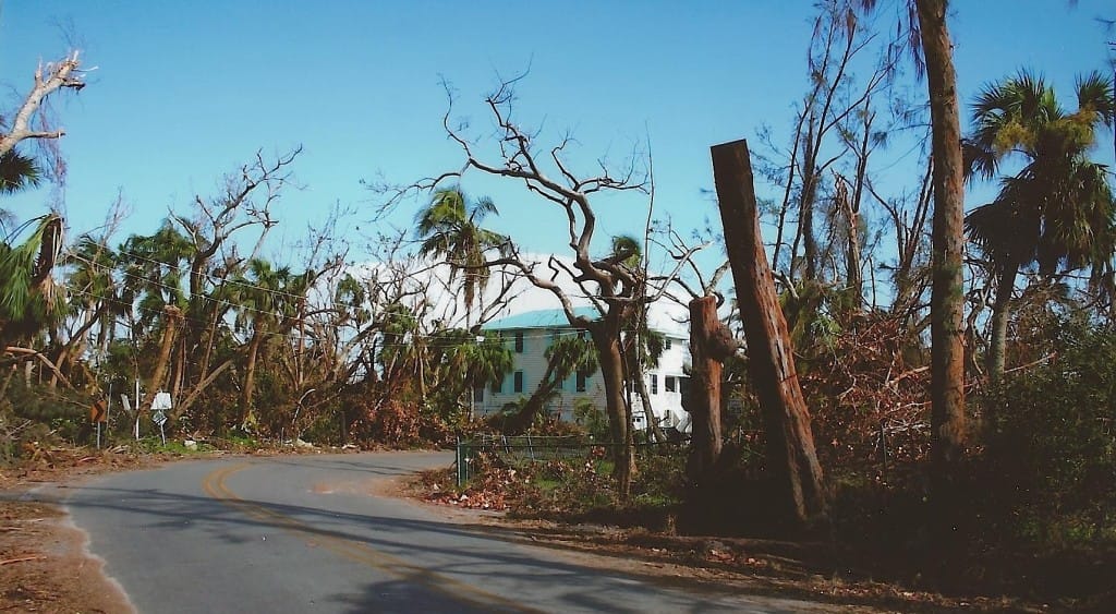 Hurricane Charley 10 Year Anniversary, Australian Pines, Captiva Drive, 8-13-04.