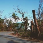 Hurricane Charley 10 Year Anniversary ~ Captiva Drive, Australian Pines