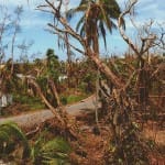 Hurricane Charley 10 Year Anniversary: Australian Pines On Captiva Drive