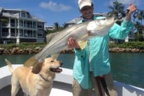Gulf recreational snook season to reopen September 1.