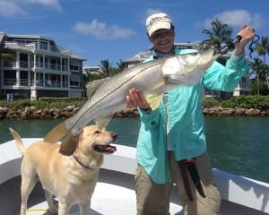 Gulf recreational snook season to reopen September 1.