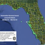 Sanibel & Captiva Islands Red Tide Report, 8-16-14: No Red Tide