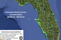 Sanibel & Captiva: Current Florida Red Tide Counts, Week Of August 15, 2014, Graphic Credit FWCC