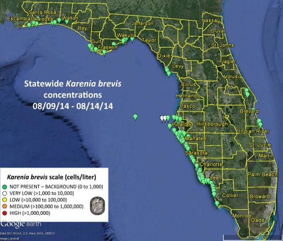 Sanibel & Captiva: Current Florida Red Tide Counts, Week Of August 15, 2014, Graphic Credit FWCC