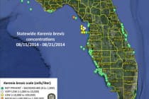 Sanibel & Captiva Islands Red Tide Report, 8-23-14: No Red Tide