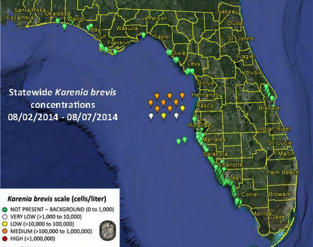 Florida Red Tide Map, 8-8-14, Source: Florida Fish & Wildlife Conservation Commission.