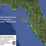 Sanibel & Captiva Islands Red Tide Report, 8-9-14: No Red Tide