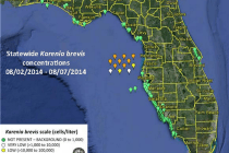 Florida Red Tide Map, 8-8-14, Source: Florida Fish & Wildlife Conservation Commission.