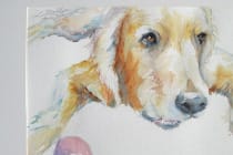 SANIBEL-CAPTIVA ART LEAGUE'S FALL ART EXHIBIT, Hidden Ball, Water Color, Courtesy Of Kathy Taylor, Copyright Kathy Taylor, kathyarts.com.