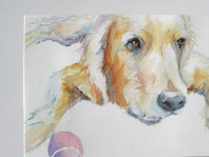 SANIBEL-CAPTIVA ART LEAGUE'S FALL ART EXHIBIT, Hidden Ball, Water Color, Courtesy Of Kathy Taylor, Copyright Kathy Taylor, kathyarts.com.