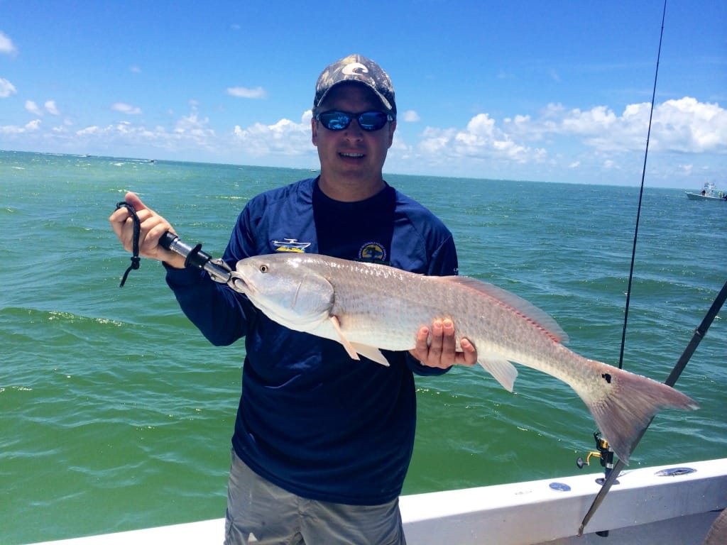 Redfish, Sanibel Oyster Bars