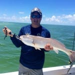 Redfish, Sanibel Oyster Bars