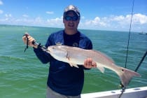 Redfish, Sanibel Oyster Bars