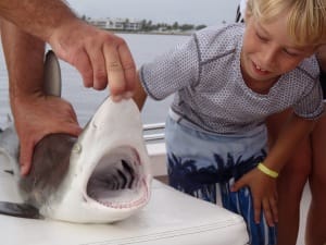Sanibel Fishing Charters