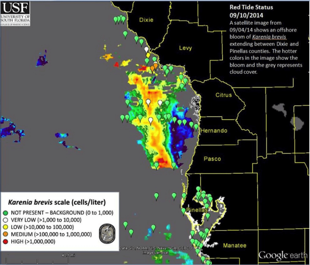 Current Florida Red Tide Update, Mid-week, 9-10-14.