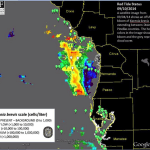 Red Tide Report, 9-11-14: No Red Tide