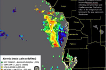 Current Florida Red Tide Update, Mid-week, 9-10-14.