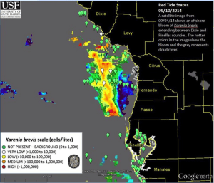 Current Florida Red Tide Update, Mid-week, 9-10-14.