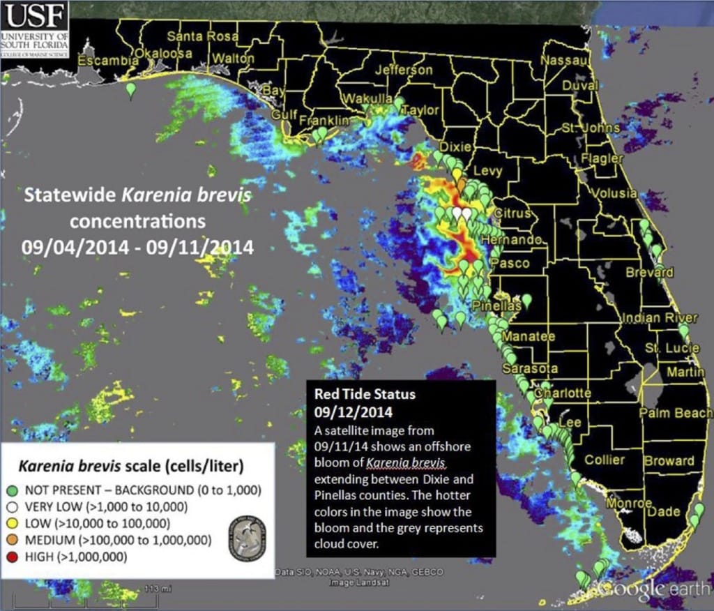 Sanibel Red Tide Report, Statewide Karenia Brevis Concentrations, 9-12-14.