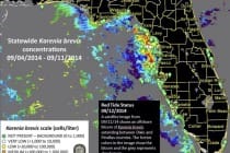 Sanibel Red Tide Report, Statewide Karenia Brevis Concentrations, 9-12-14.