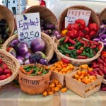 Rosy Tomorrows Heritage Farm @ SCCF Thursday From 9AM – Noon