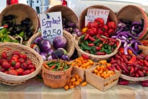 Sanibel Farmers Market, Photo Credit - Julian