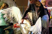 IBEX Puppetry, Hensen Puppets, Coming To "Ding" Darling Days, October 20, Photo Courtesy Of IBEX Puppetry
