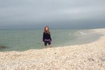 Bailey-Matthews National Shell Museum Marine Naturalist Beach Walks At The Island Inn
