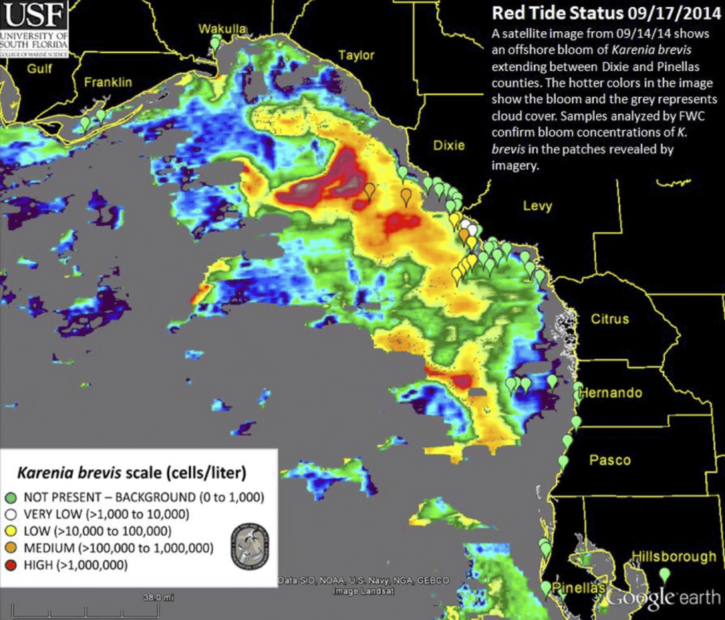 Midweek Red Tide Status Update, 9-17-14
