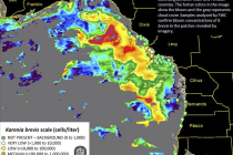 Midweek Red Tide Status Update, 9-17-14