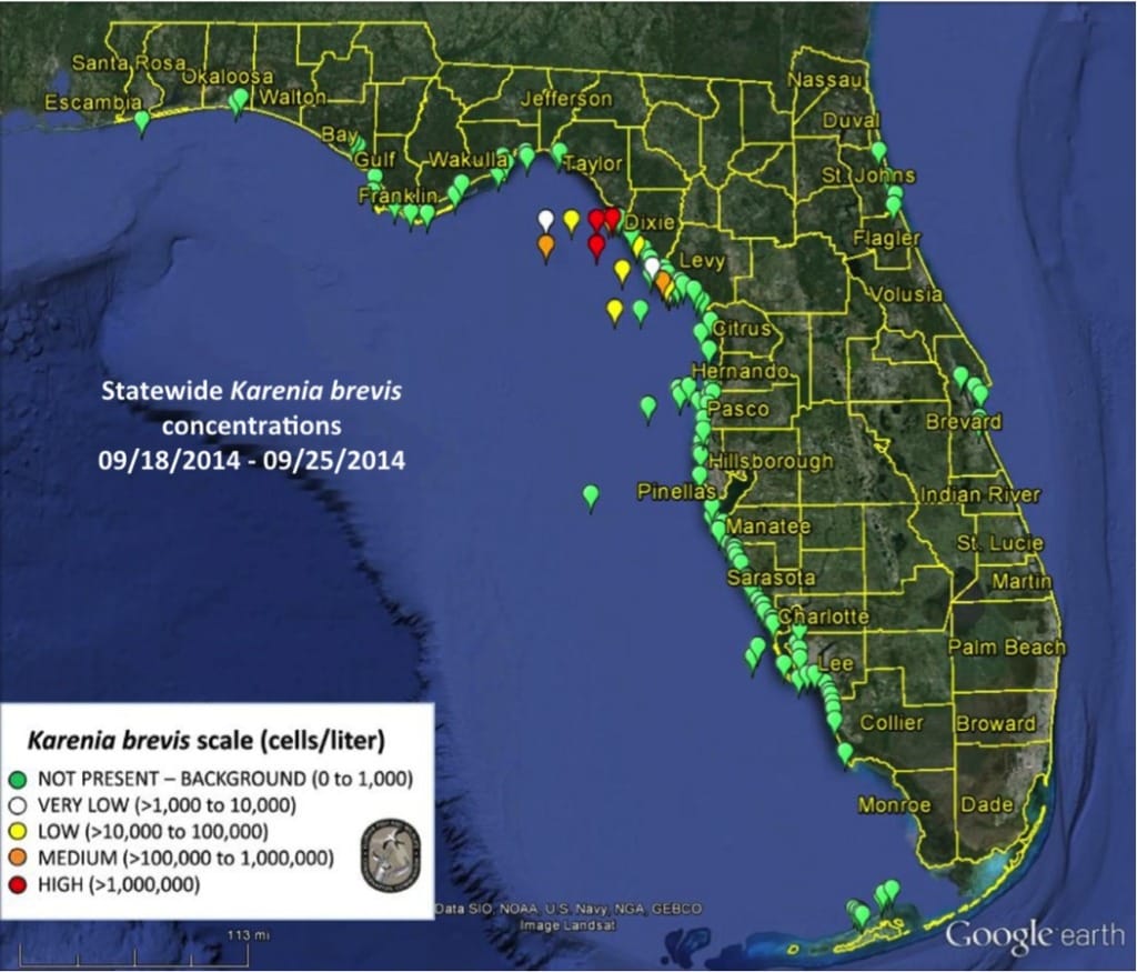 Sanibel & Captiva Islands Red Tide Report, 9-27-14: No Red Tide