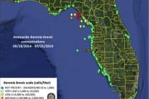 Sanibel & Captiva Islands Red Tide Report, 9-27-14: No Red Tide