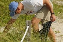 Sanibel & Captiva Coastal Cleanup, File Photo, Photo Credit - Coast Guard News