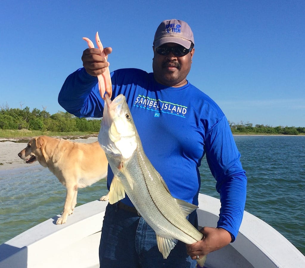 Snook, 9-12-14, Sanibel Fishing Reports & Captiva Fishing Reports & Charters.