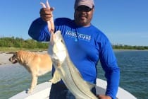 Snook, 9-12-14, Sanibel Fishing Reports & Captiva Fishing Reports & Charters.