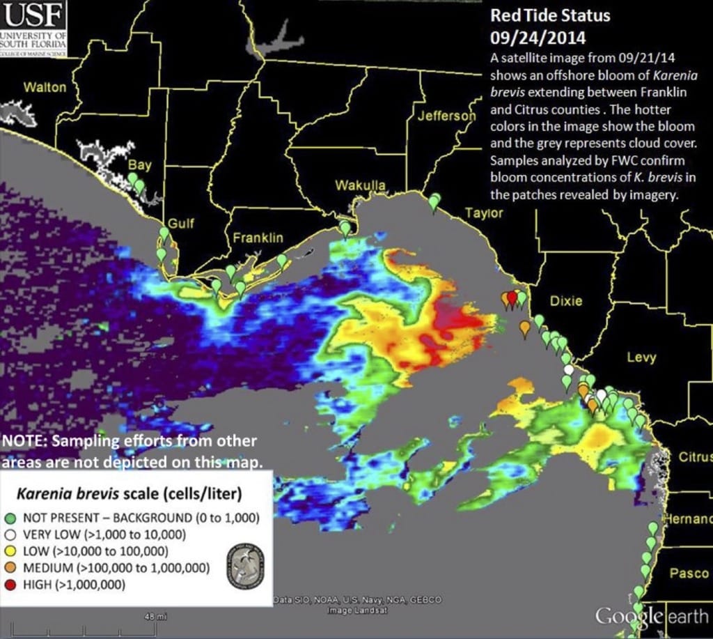 Sanibel Red Tide Status, Map of Bloom Area with satellite overlay - September 24, 2014.