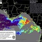 Midweek Sanibel Red Tide Report, 9-24-14: No Red Tide