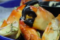 Sanibel, Florida Stone Crab, Photo Credit - Larry Hoffman.