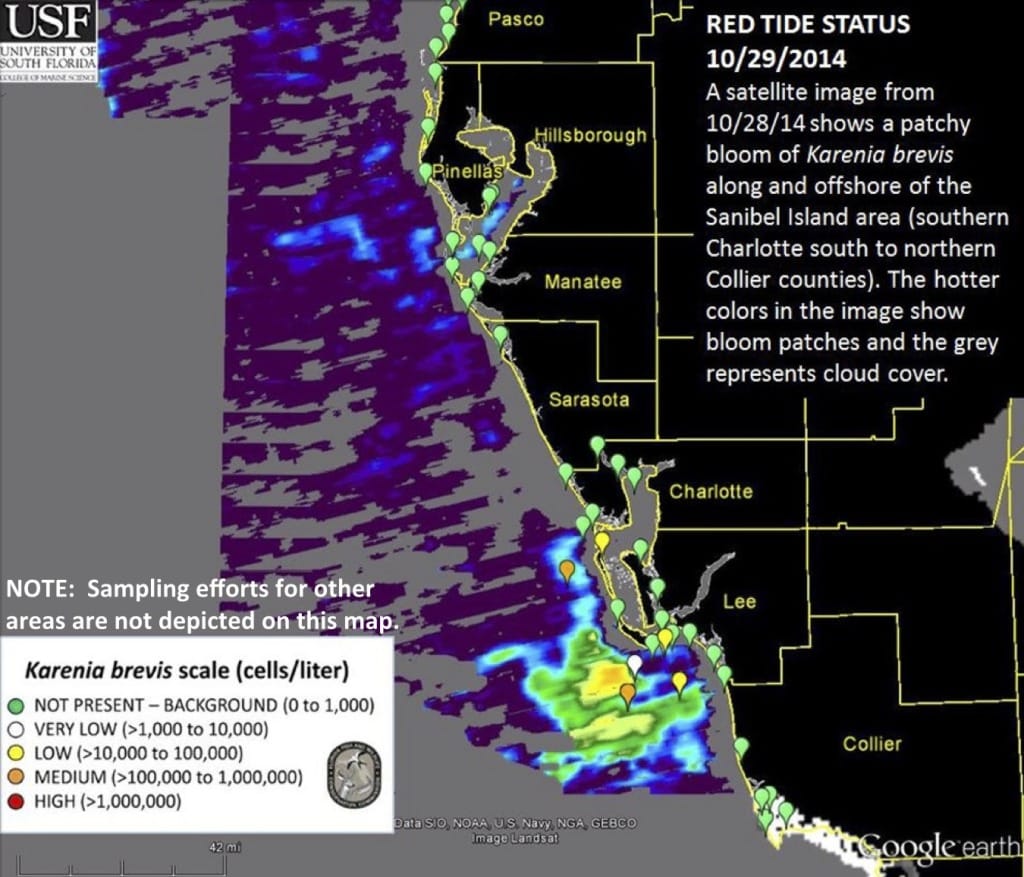 Sanibel Red Tide Report, Midweek Status, 10-29-14.
