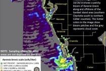 Sanibel Red Tide Report, Midweek Status, 10-29-14.