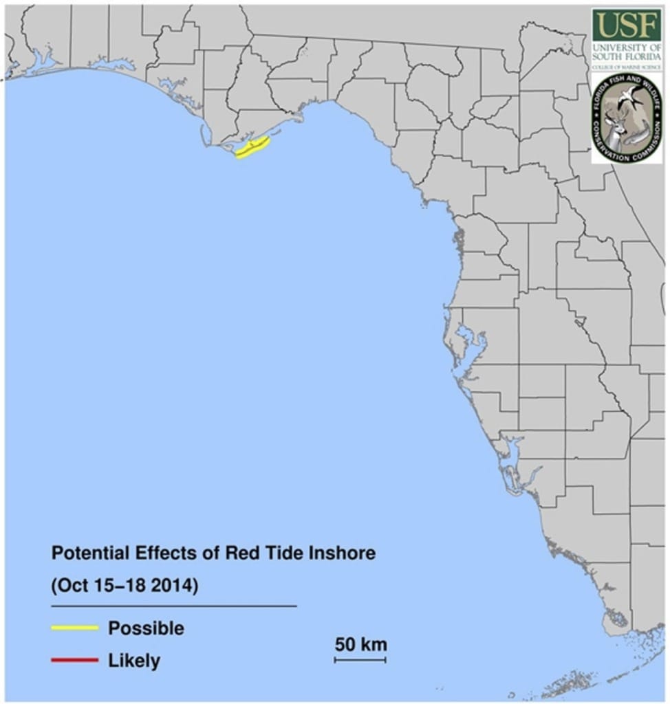 Red Tide Report, Potential Effects Of Red Tide Inshore, 10-15-14