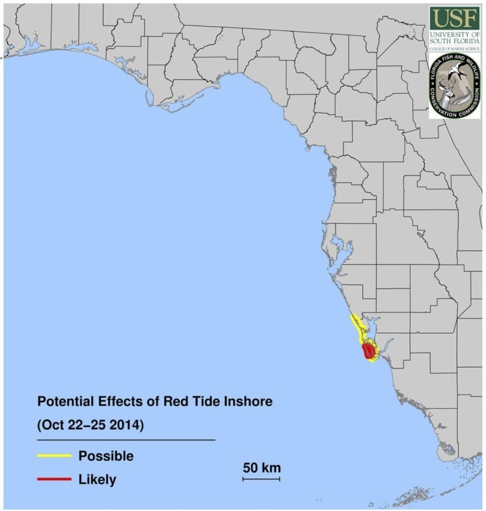 Potential Effects Of Red Tide Inshore, 10-22-14.