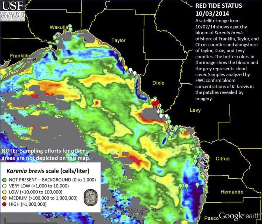 Red Tide Report Status Map - Bloom area with satellite image overlay (October 3, 2014).