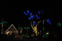 Sanibel Luminary Festival 2, Photo Credit - Lizard10979.