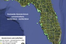 Sanibel Red Tide Report, 10-11-14, Statewide Karenia brevis concentrations 10:02:2014 - 10:09:2014.