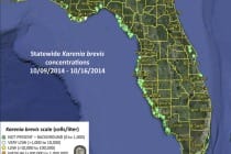 Red Tide Report, Statewide Karenia Brevis Concentrations 10:09:2014 - 10:16:2014, Courtesy Of FWC.