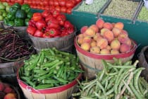 Sunday Sanibel Farmers Market, Photo Credit - Natalie Maynor