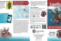 Sanibel, Lionfish Briefing, Courtesy Of FWC, Via Creative Commons.