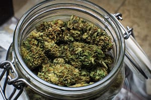 Sanibel Medical Marijuana Policy, File Photo Credit - Dank Depot.