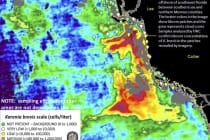 Sanibel Red Tide Status Map (November 14, 2014)